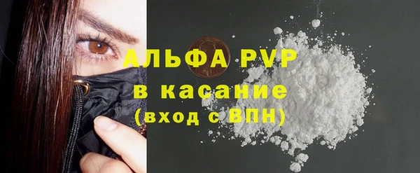 стафф Алексин