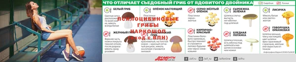 стафф Алексин