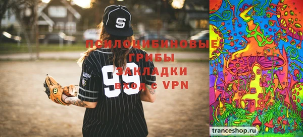 стафф Алексин