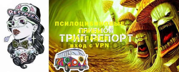 гидра Алексеевка
