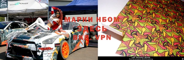 гидра Алексеевка