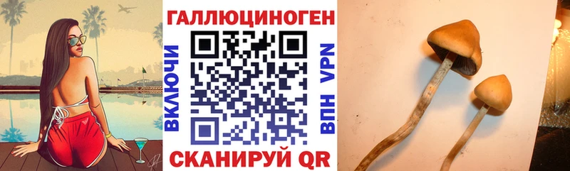 как найти закладки  Урай  даркнет состав  Псилоцибиновые грибы Psilocybine cubensis  omg маркетплейс 