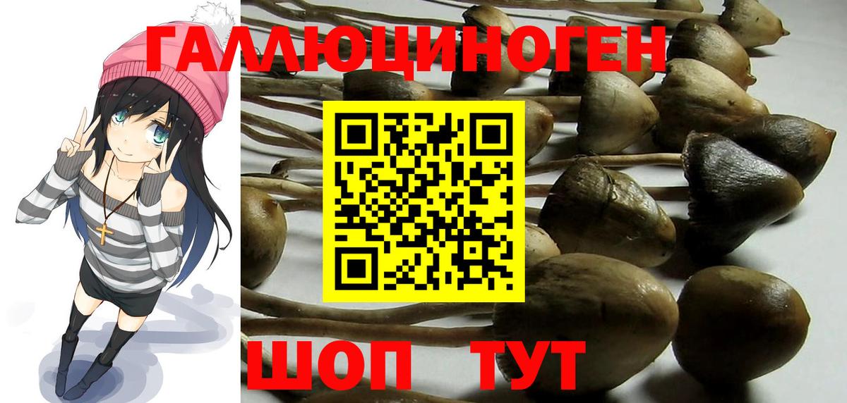 Псилоцибиновые грибы мицелий  Вход с VPN  где можно купить наркотик  Галлюциногенные грибы мицелий  Урай 