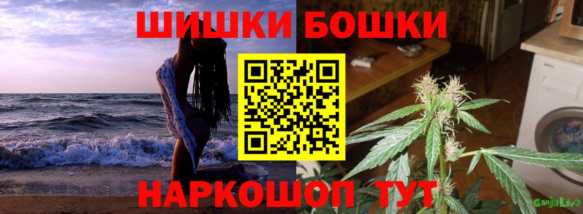 Марихуана сатива Урай